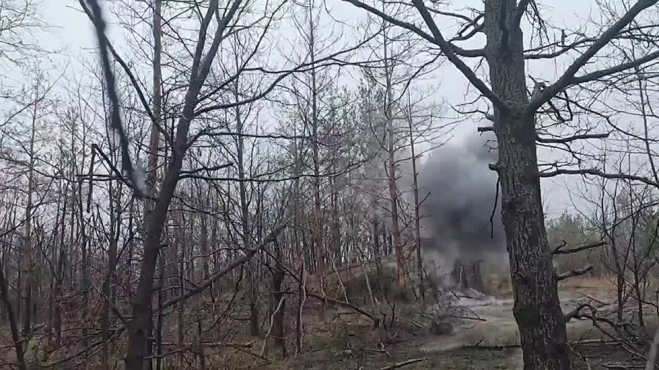 ��� �����. ����� � �������������