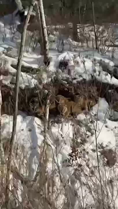 ���� ������ ������� ������ ����� ����, ��� � ���������� ����� ���������������� ����� � �������� ��������� ��������� �����, ����������� ����� � ������� � ���������� ����