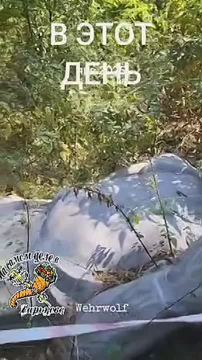 #������������_���������: ����� � ����� ��������� ������ � ������� ������ � ������ �� �� �����-������ �������, � � ������ ������ �������