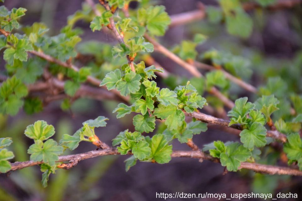 ������ ��������� ��������� � �������� ��������� ��� ������� ������