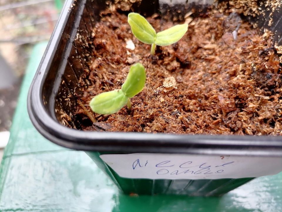 ����� ������������ ������� � ������� ������