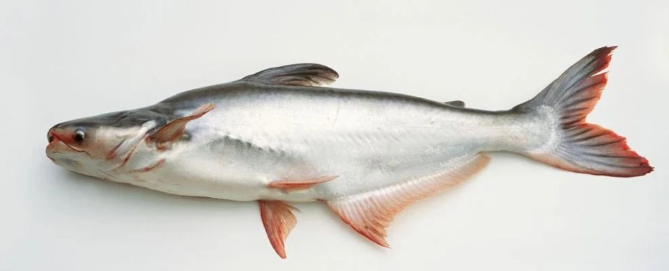 �� ����� ��� ����: 7 ����� ����, ������� ���������� ������� ��� ��������