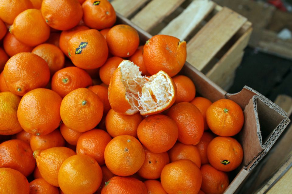 ��� �������� ��������� �������� �� ���� �� ���������