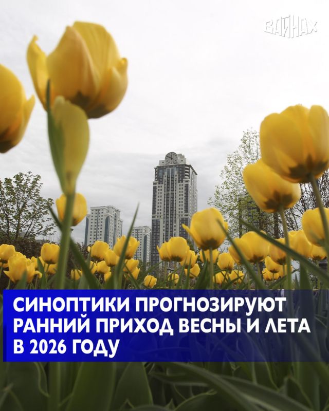 ������������� ����� � ������ � 2026 ���� ����� �������� ��� � �������, � ���� � � ���