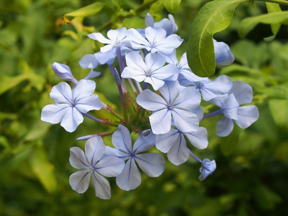 ��������: ��� ���������� ��� ������� � �������� �����