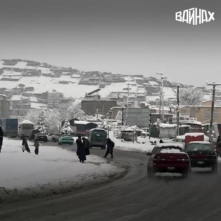 �� ������� ���� 61 ������� �����, ��� 110 �������� ������ � ����� � ������� � ���������� ������� ���������� � ������ �� ����� �����������