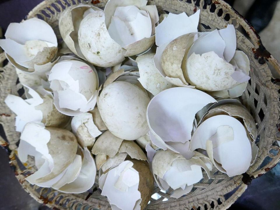 ������� ������ ��������: ��� ������� ������� ������ �� ���� ��������