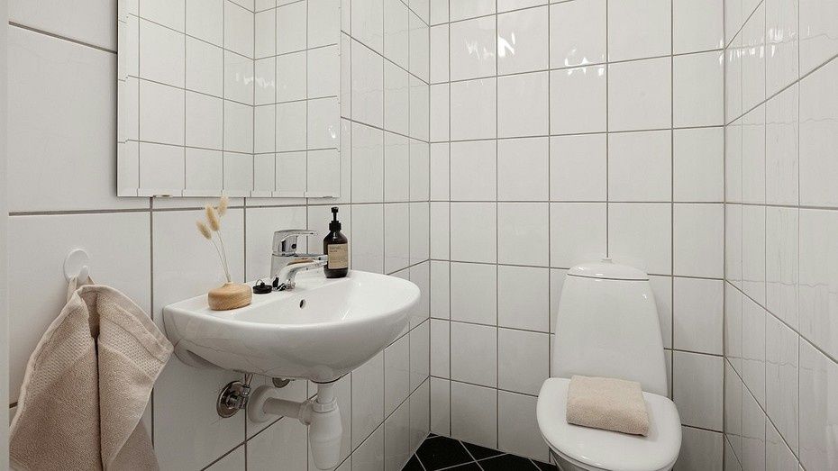 ����� �� �������: �������� ������� � ��� � ���� ����������