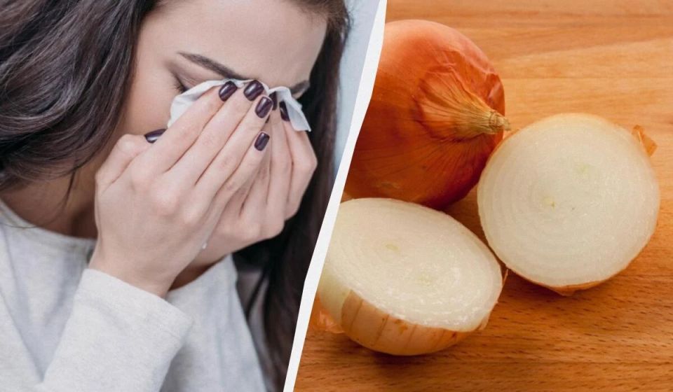 ������ ������� �� ����� ������� ����: ������� "�������" �������