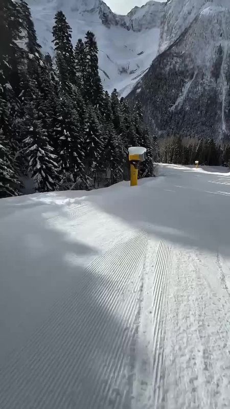 ���� ������� ������ �� ������������� �� ����������� ������ � ���������-���������� ������