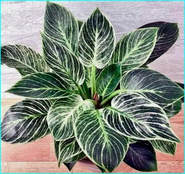 ����������� ������ � ���������: �������� ������ � �������� �����