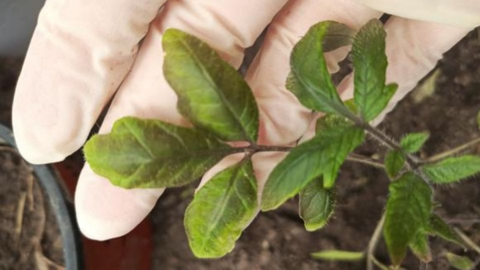 ������������ ������ ������� ��������� ������ ������� �������