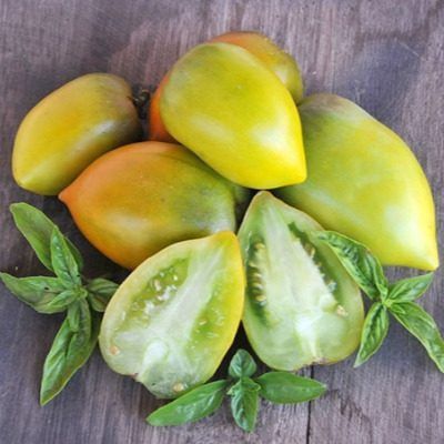 ����� ���� �����: ������������� ���� � ��������� ������ ��� ��������