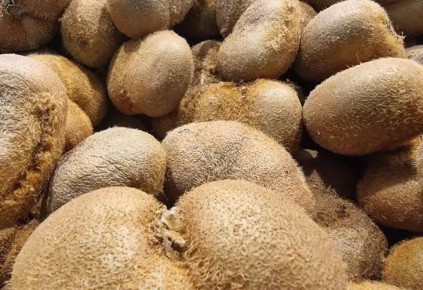 ����� ���� � ������� ���� ���������? ������ ������� � ��� �� �������, ������ ������ ����������