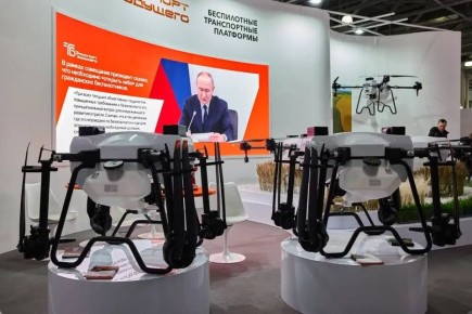 ������� ����������� �������: ������������������������ � ��������������� ����������� ���� � �������