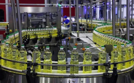 ������� ���������� ������������ ����� � ��� � 2025 ���� ����� � 3,5 ����