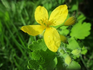 ����� ���������: ��� ������� ����� �� ��� �� �������