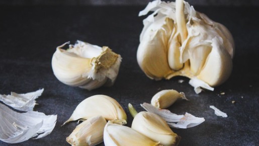 ������ ������� ������ ������ ������ ���: ������ ��������� ������� �� �������