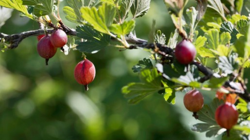 ������������ ��� �� ��� ���: ��� ����� �� ����� ���� ����� �������� ��������� ������