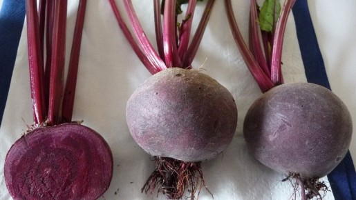 ��� ��������� ������������� �����: ������ ��� ���������