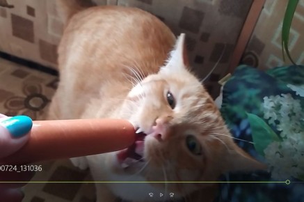 ������ ���� �� ����� �������� ����������� ���� �� ��������?