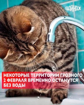 � ����� ������� ��������� ���������� 2 ������� ����� �������� ���������� ������ ����