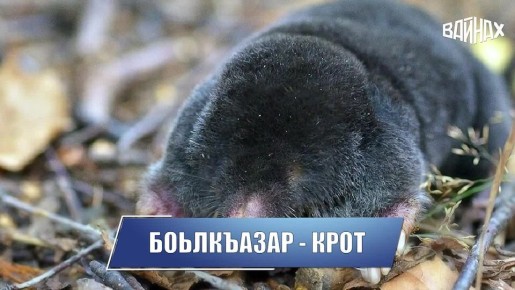 ������ ����� ���� ���� ��� �����? � ����� ����, �������� ������� ��������� ����?