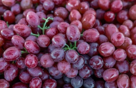 ������� ��������: ������ ��� ������������� ����?