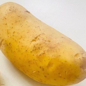 ��� ��������� ���������� ��������� ��� ���������������� �������� ������