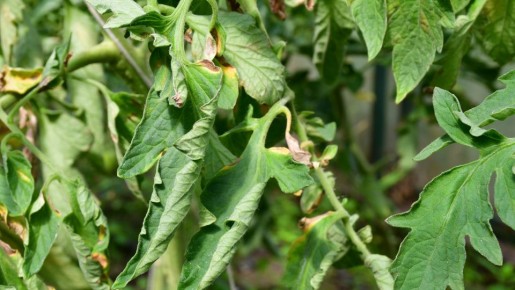 ������ ������ ��������� ������������ � ��� � ���� ��������