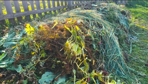 ��� ������� ������� �������: ������ ��� �������� �� �����