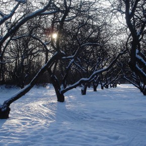 ��� �������� ��� �� ������� �����: ������ ��� ���������