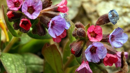 ��������: ������������� ��������� ������� ��� ������ �������