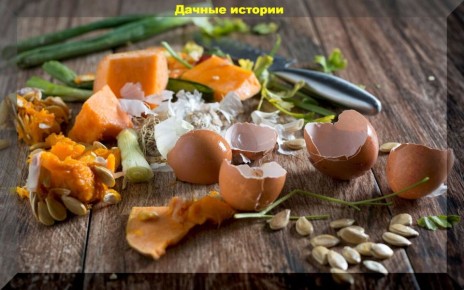 ��������� �� �������� �������: ������� ������ ��� ���������