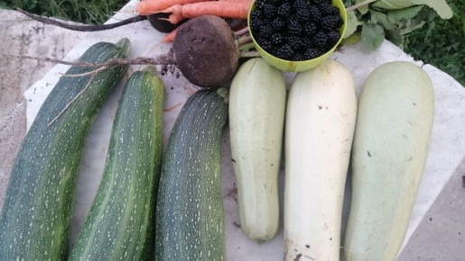 ��� ��������� ������� �� ����� �������: ������� ������