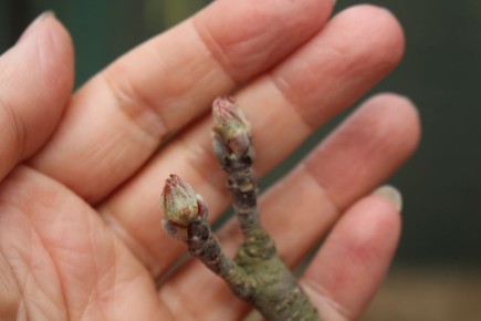 ������ ������������ � ���� �������� ������ ��� ����� ��� ����?