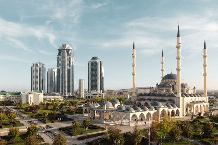 ���� �������� ������� ������: ���������� 92 ���������� ������������