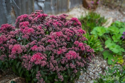 ������ ����������� ������: 10 �������� ��� ���������-��������