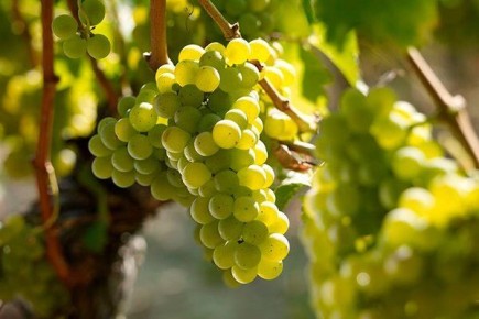 ������� ��������� ����������� ��������� �������� ���� �� ����� �������