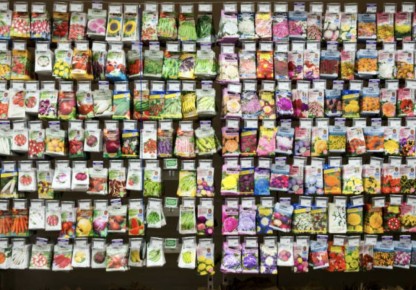 ��� ��������� ������� ������: ������ ��� ��������� �����������