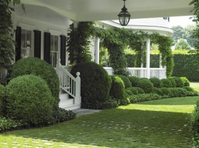 ��� ������� �������� ������� ���� �� ����: ����������� ��� �������