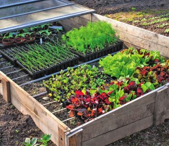 ��� ������� ��������� ������: ������ � ���� ��� ������ �������