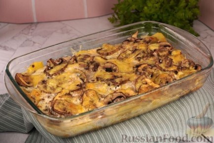 ��������� �� ����� ����: ������ ������� ��� ������� �����