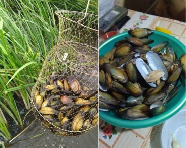 ���������� ��� �� ����: ����� �� ���� ������������ ����� (���������)?