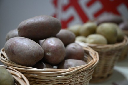 ���������� ������������ ���������� ���� �� ���������