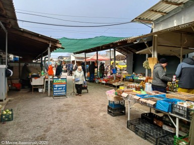 ��� ������ ������ �������� � �������� ����: ����� �� �������������� �����