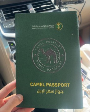 � ���������� ������ ����� �������� ��� ���������, �������� ������������ ���������� �����, ������ �������� � ��������� ��������� �����������