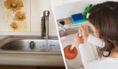 ��� ������ ������� � ��������: �������� ��������� ��� ����� �����������