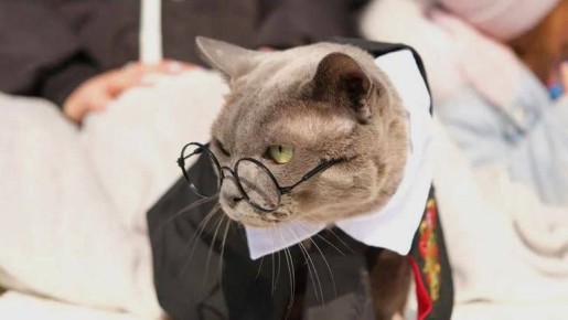 14 ������� �� ��������� ����� ���һ ������� ������� ������ �������� ���