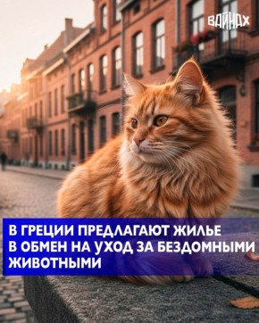 �������� �������� ����� �������� ���� �������� ������ �� ��������� ������� ����� ��������� ���������